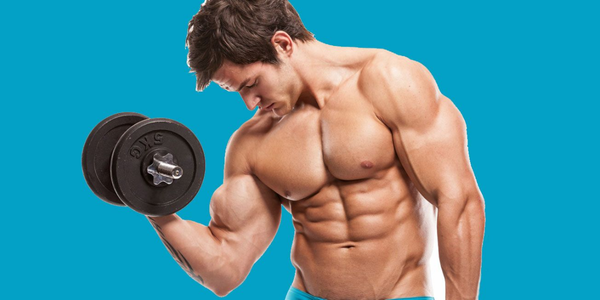 how to lose fat but keep muscle