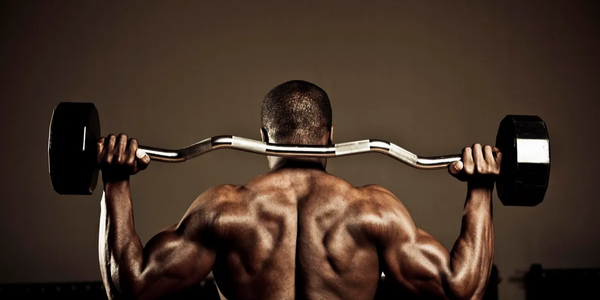 how to lose fat but keep muscle