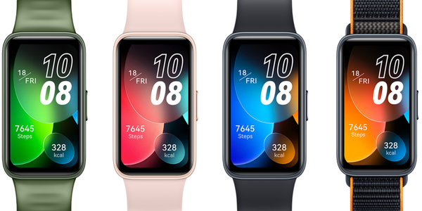 budget smartwatch with ECG function