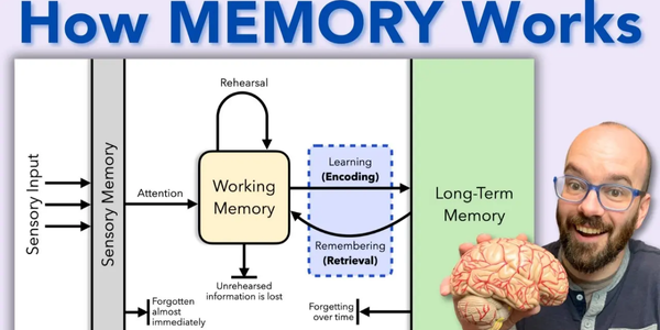 how to improve memory retention