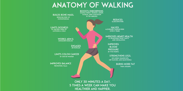 walking 10k steps weight loss results