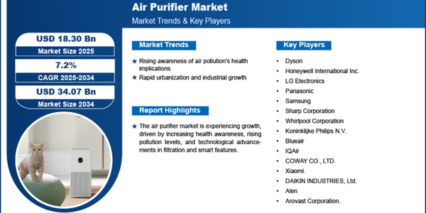 top air purifiers for allergies 2025