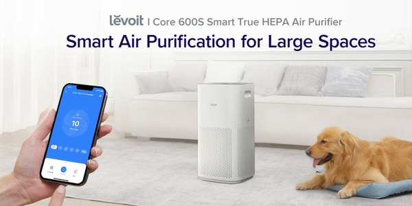 top air purifiers for allergies 2025