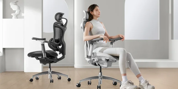 ergonomic office chair for back pain